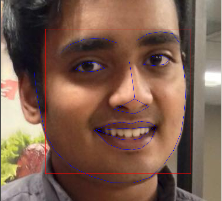 Facial recognition example